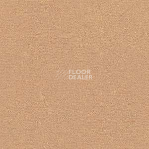 Ковролин Radici Nexus Beige 2406 фото 1 | FLOORDEALER